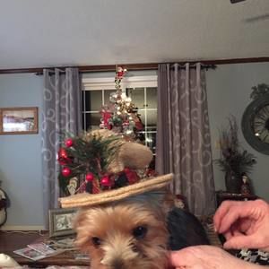 Meet your Posher, Jody